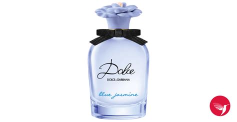 dolce gabbana parfem jasmin|sephora dolce gabbana perfume.